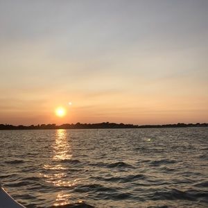 Meet your Posher, Bridget